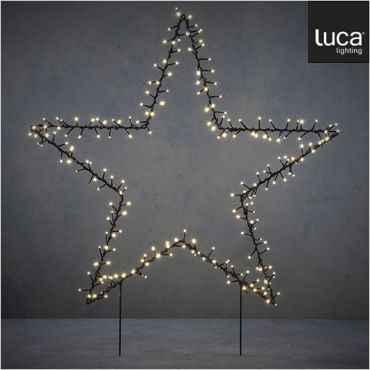 Luca garden Star Stake
