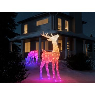 Twinkly Stag